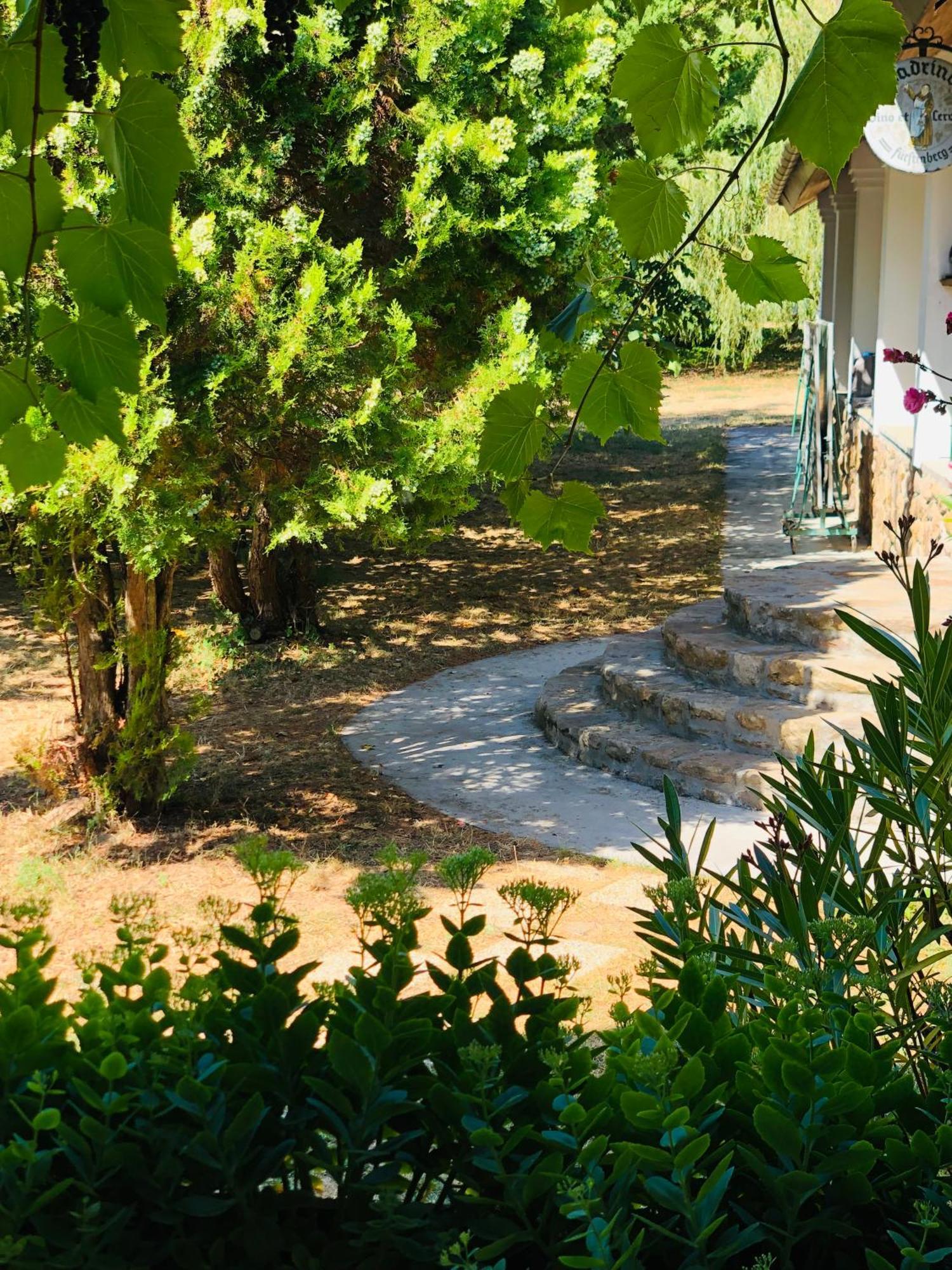 Aligvar Vendeghaz Salfold Exterior photo